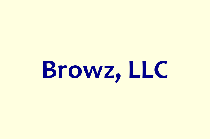 Technology Company Browz LLC