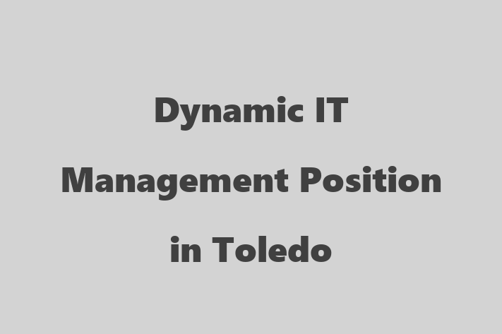 Dynamic IT Management Position in Toledo