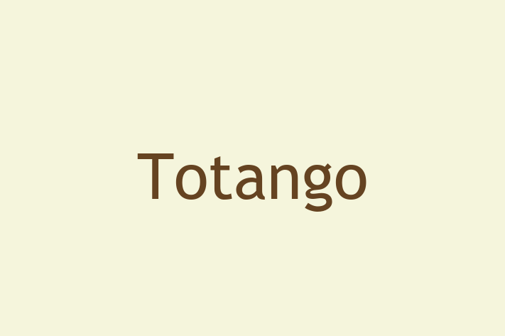 Software Solutions Provider Totango