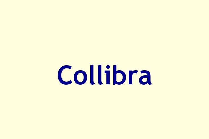 Employee Resource Management Collibra