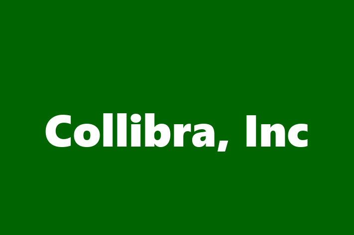 Technology Solutions Firm Collibra Inc