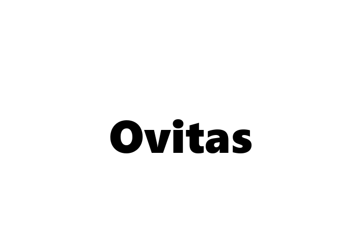 Software Consultancy Ovitas