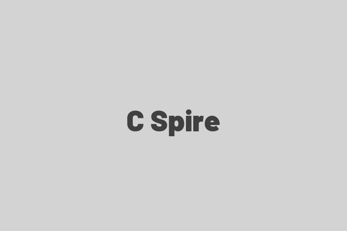 Software Consultancy C Spire