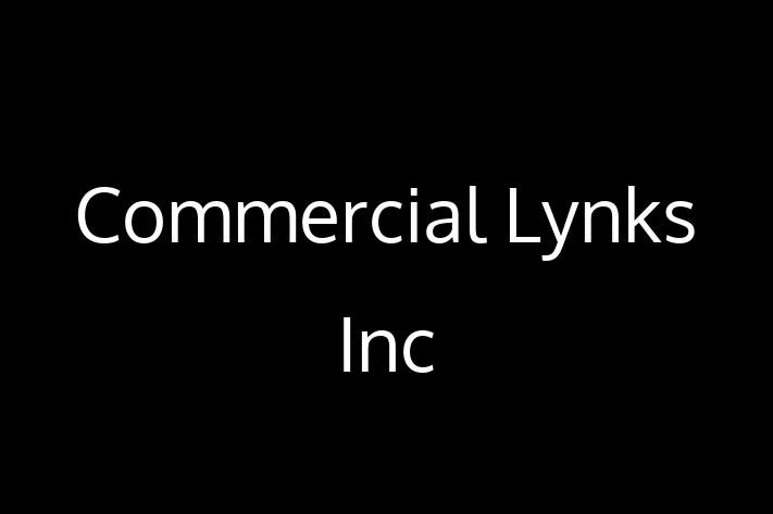 Software Engineering Company Commercial Lynks Inc