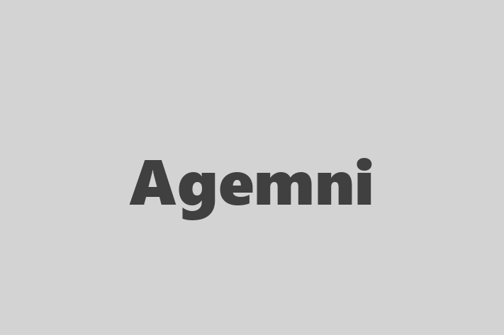 Software Services Company Agemni