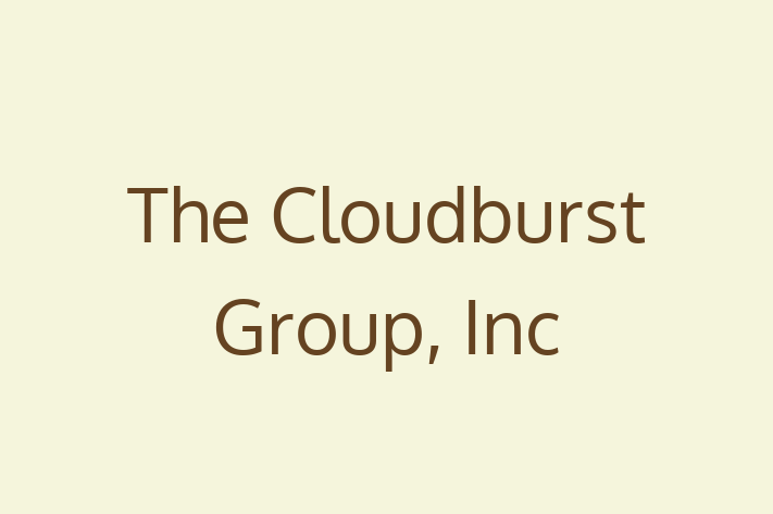 Tech Firm The Cloudburst Group Inc