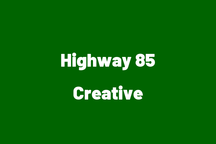 Digital Solutions Provider Highway 85 Creative