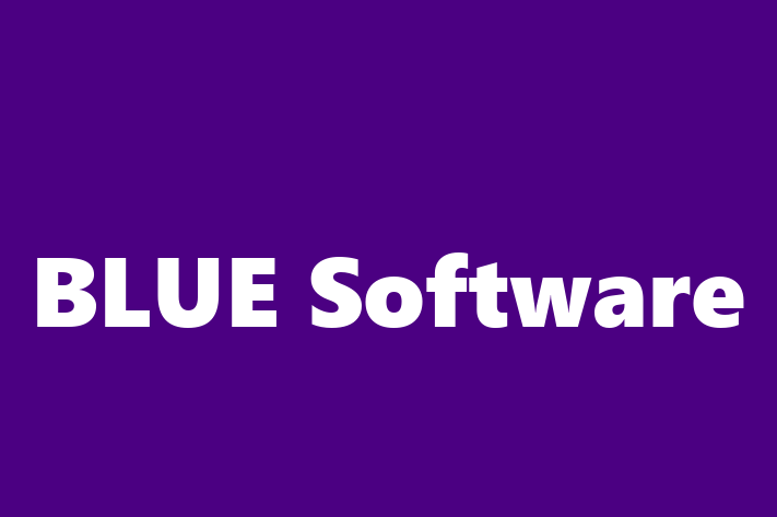 Software Development Company BLUE Software