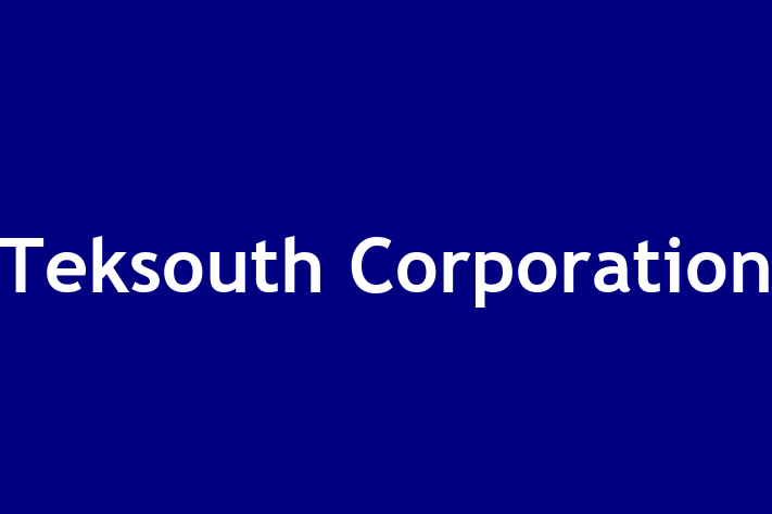 Software Solutions Provider Teksouth Corporation