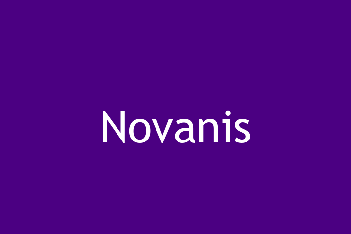 Software Development Company Novanis