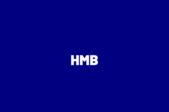 Technology Solutions Firm HMB