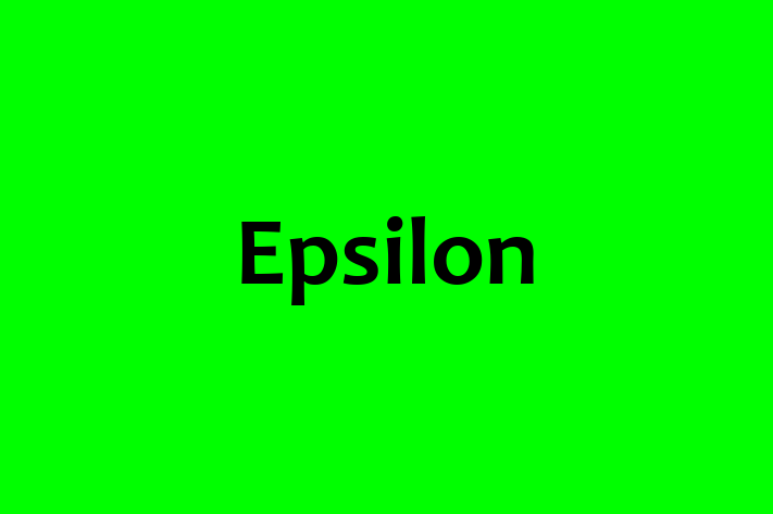 Software Services Company Epsilon