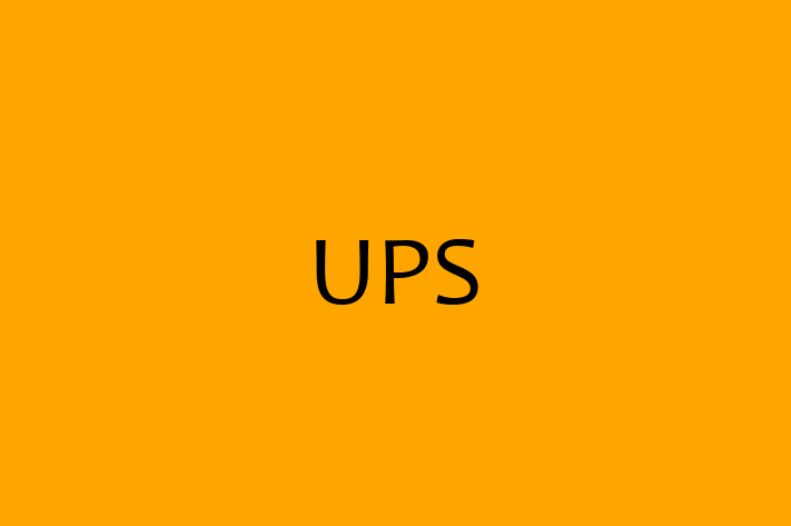 Digital Solutions Provider UPS