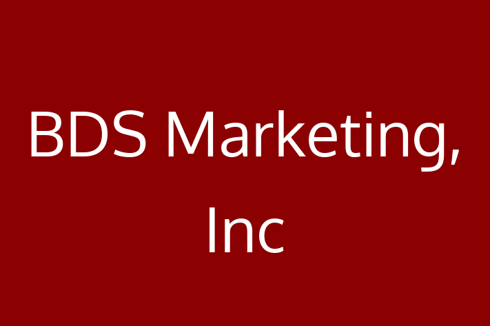 Technology Solutions Firm BDS Marketing Inc