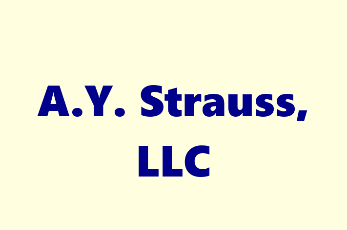 Staff Management A.Y. Strauss LLC