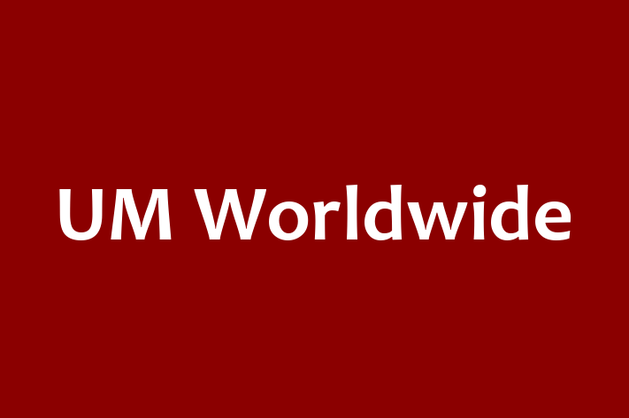 Software Engineering Company UM Worldwide