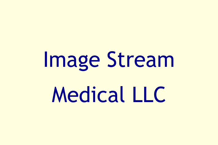 IT Company Image Stream Medical LLC