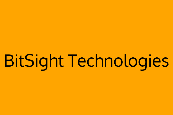 Technology Solutions Firm BitSight Technologies