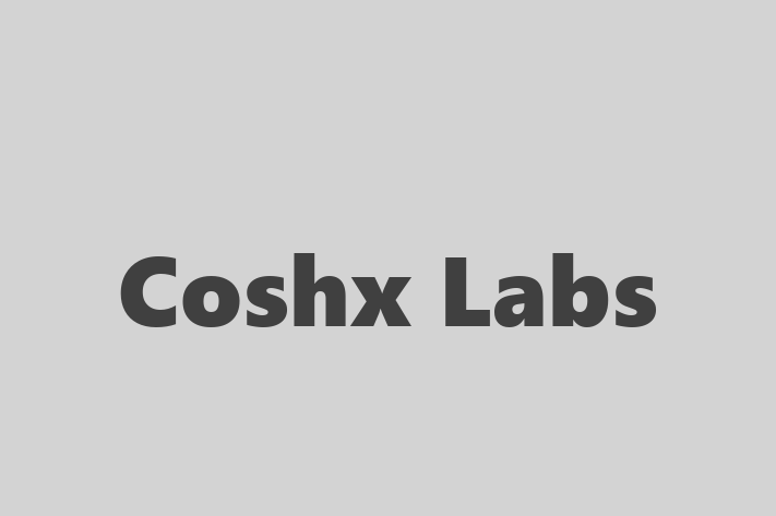 IT Company Coshx Labs