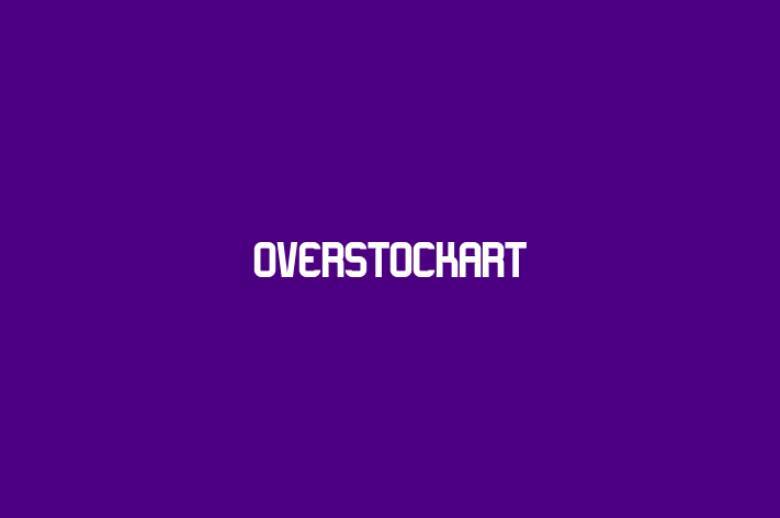 Software Development Company OverstockArt