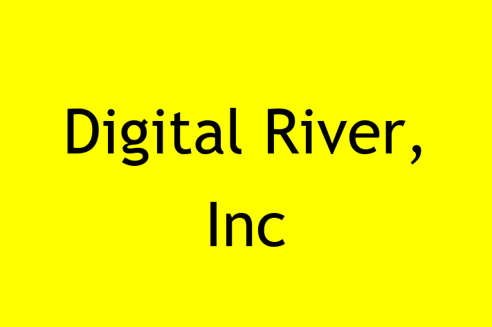 Software Consultancy Digital River Inc