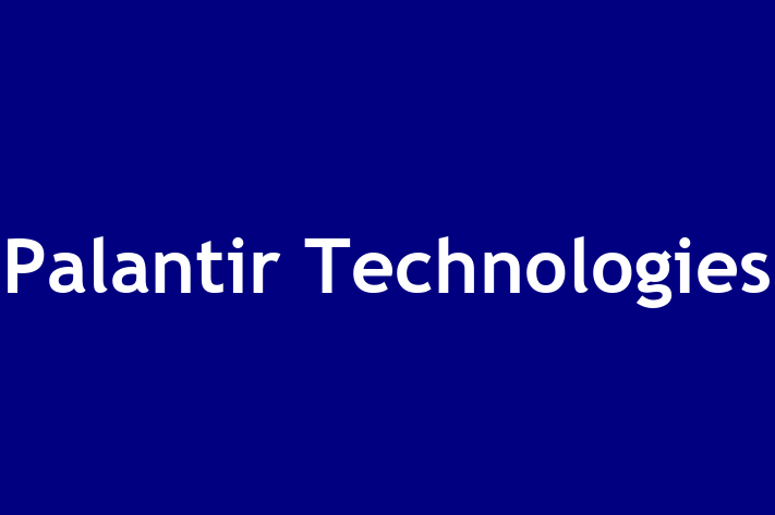 Software Consultancy Palantir Technologies