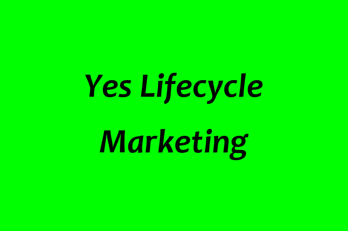 Software Consultancy Yes Lifecycle Marketing