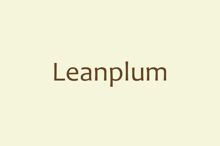 Software Services Company Leanplum