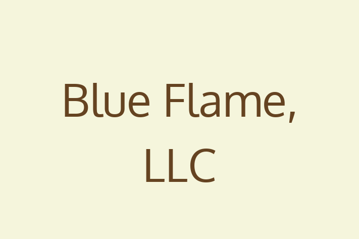 Software House Blue Flame LLC