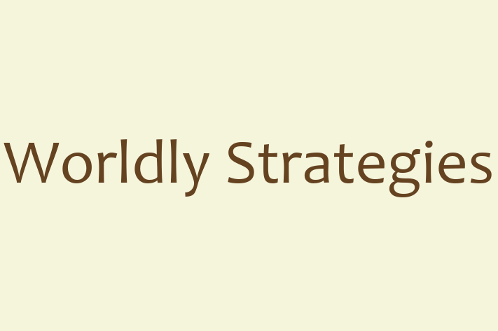 Software Consultancy Worldly Strategies