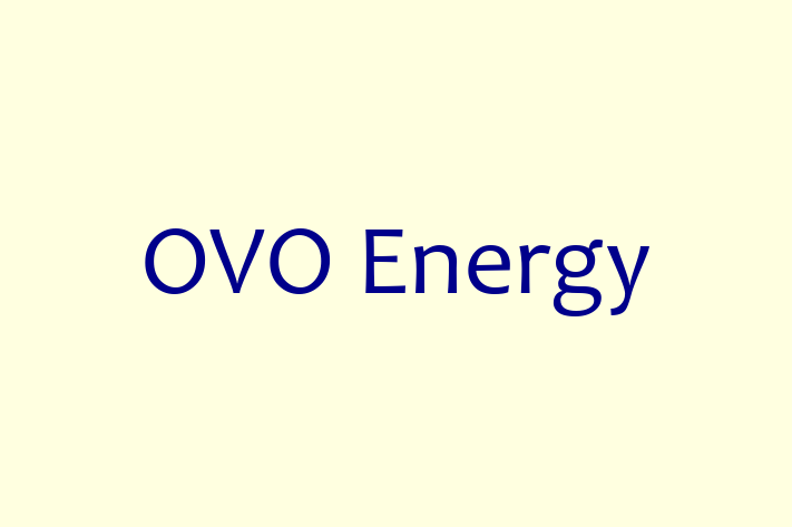 IT Company OVO Energy