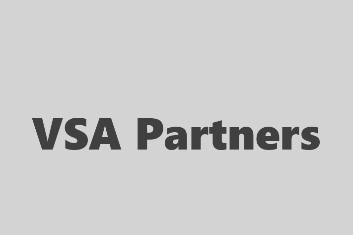 Technology Company VSA Partners