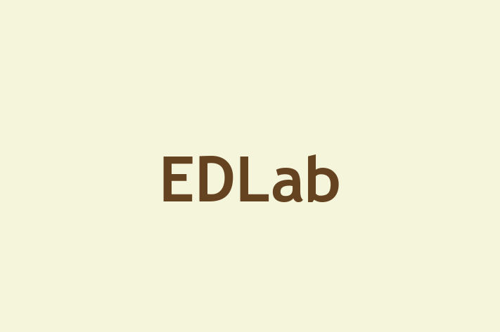 Tech Solutions Company EDLab