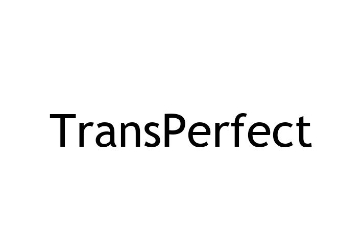 Technology Company TransPerfect