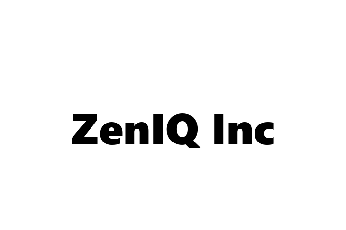 Software Development Company ZenIQ Inc