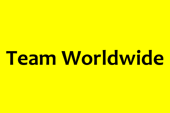 Software Development Firm Team Worldwide