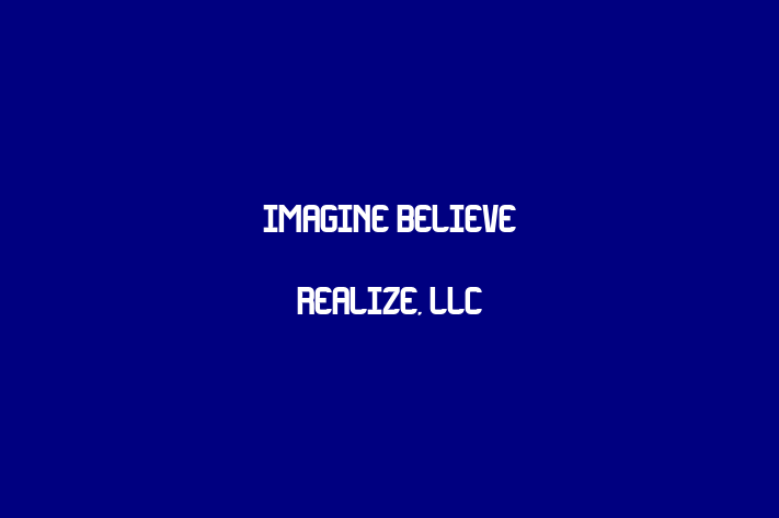 Digital Solutions Provider Imagine Believe Realize LLC