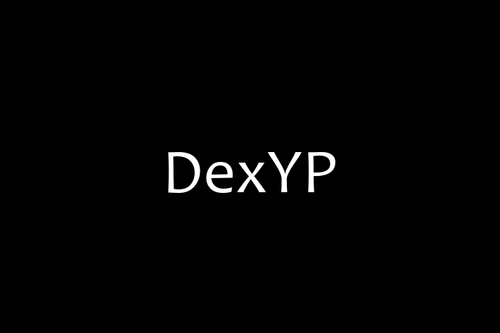 Digital Solutions Provider DexYP