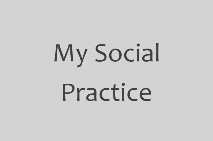 Software Engineering Company My Social Practice