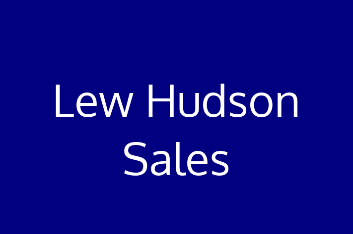 Software Consultancy Lew Hudson Sales