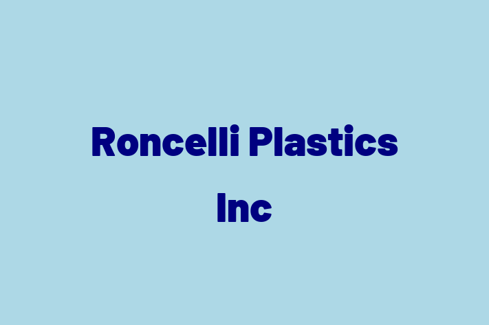 Software Development Company Roncelli Plastics Inc