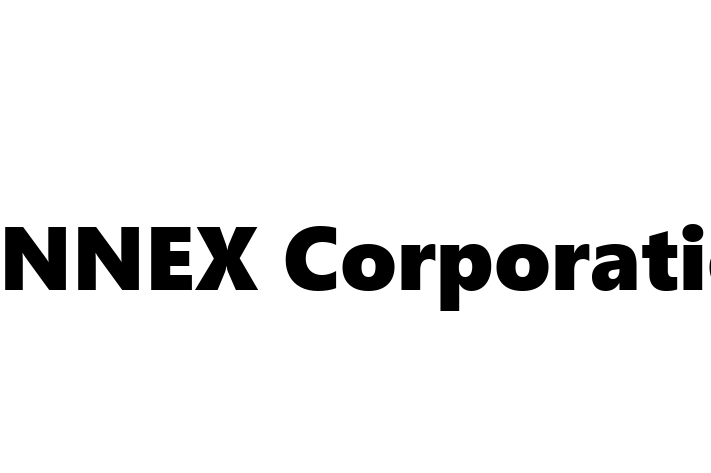 Software Consultancy SYNNEX Corporation