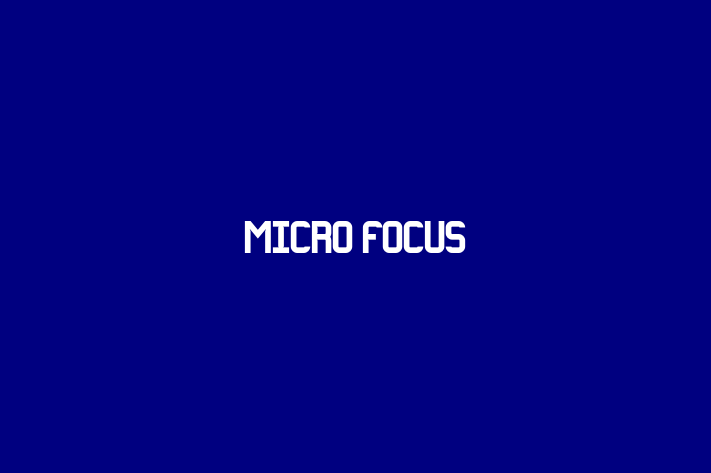 Software Consultancy Micro Focus