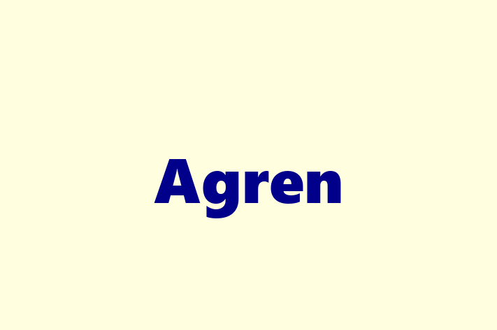 Software Development Firm Agren