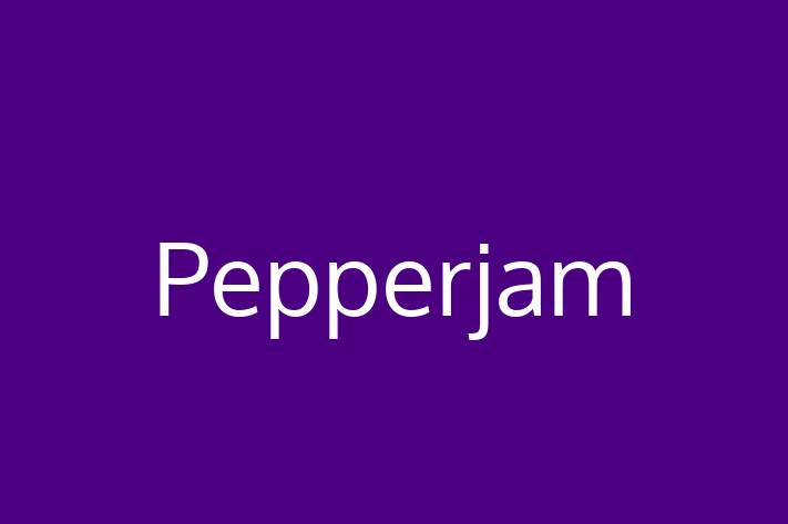 Software Engineering Company Pepperjam