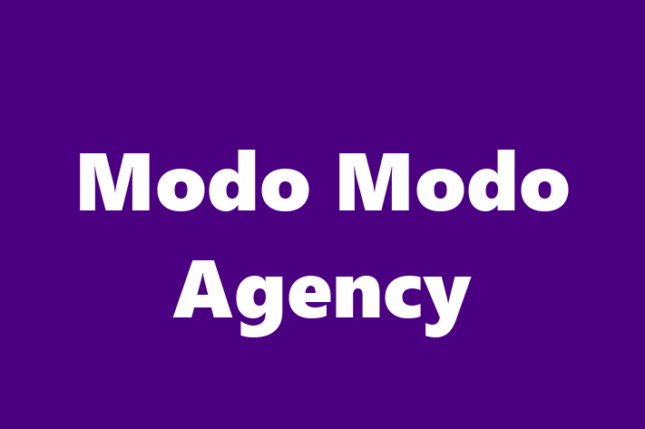 Software Consultancy Modo Modo Agency