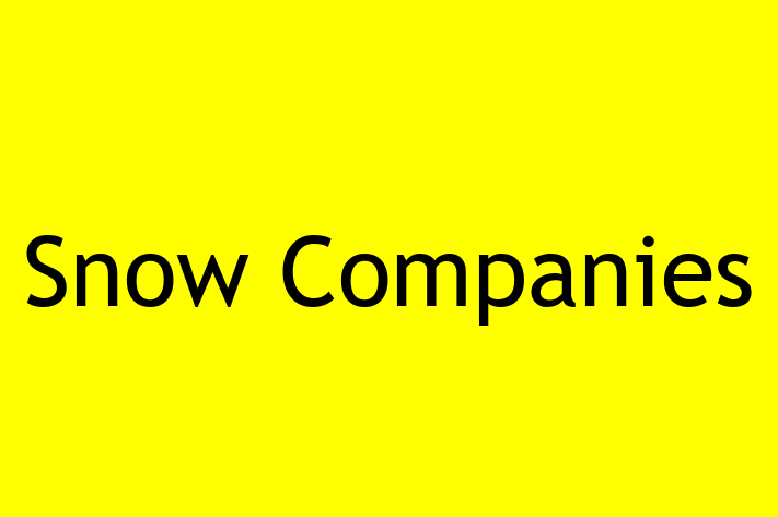 Software Consultancy Snow Companies