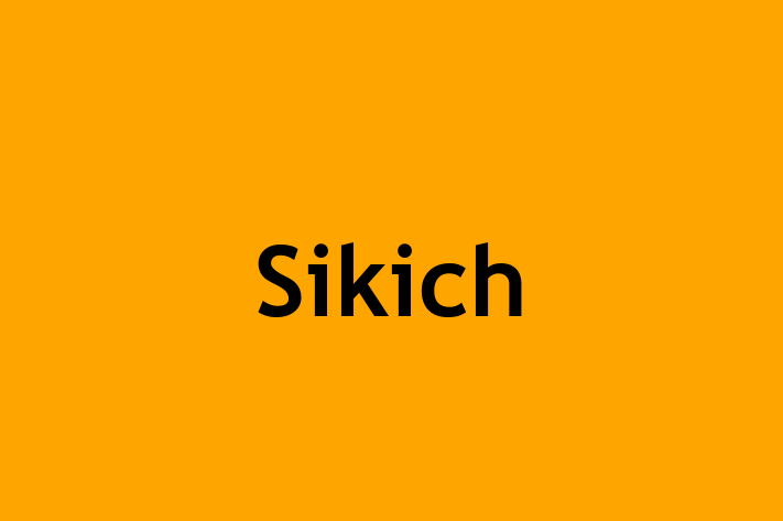 Workforce Management Sikich