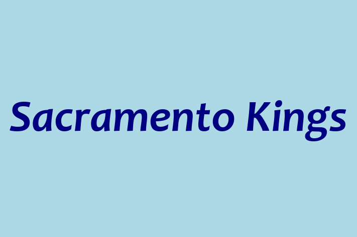 People Management Sacramento Kings