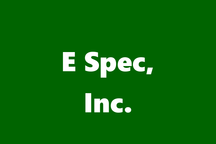 Technology Company E Spec Inc.